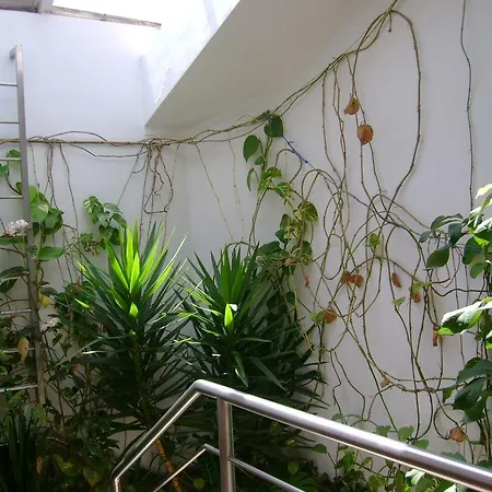 Guest house Residencial Moeda 3*