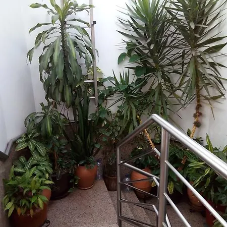 Guest house Residencial Moeda Coimbra