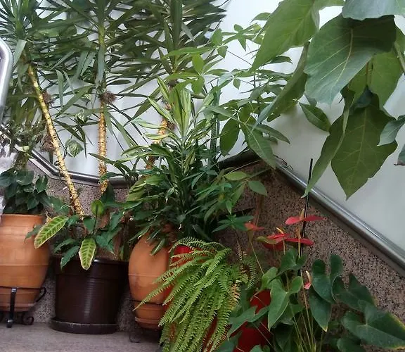 Guest house Residencial Moeda 3*