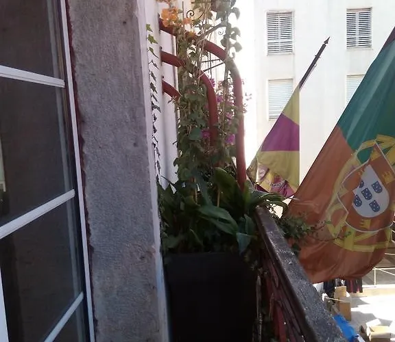 Guest house Residencial Moeda Coimbra