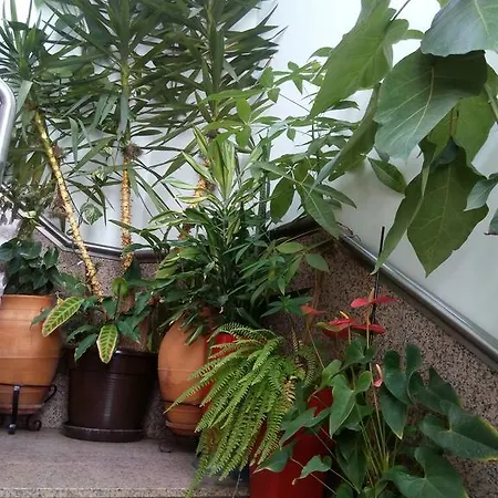 Pensión Residencial Moeda 3*