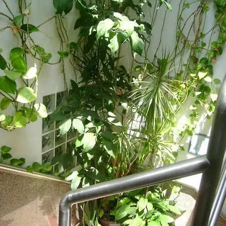 Pensión Residencial Moeda Coímbra