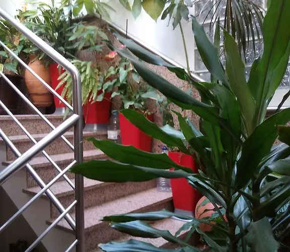 Residencial Moeda Coimbra